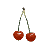 Fruit Cherry Sticker