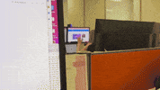 Alextheswiftie GIF by lol jay