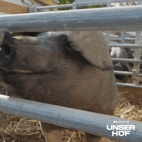 Suss Wow GIF by Sky Deutschland