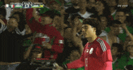 high five copa america centenario GIF by Univision Deportes