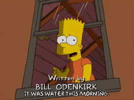 bart simpson episode 3 GIF