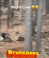 Mtb Case GIF
