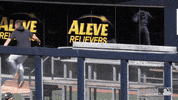New York Sport GIF by New York Yankees