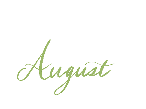aile_design calligraphy 8 calendar august Sticker