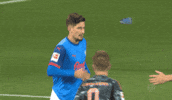 Bundesliga Clap GIF by Holstein Kiel