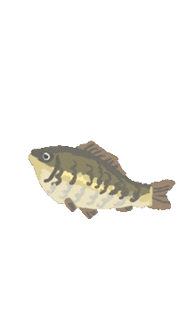 Art Swimming Sticker