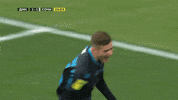 Football Celebrating GIF by FC Dynamo Moscow