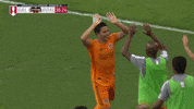 Major League Soccer Football GIF by Houston Dynamo