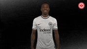 Bundesliga GIF by Eintracht Frankfurt