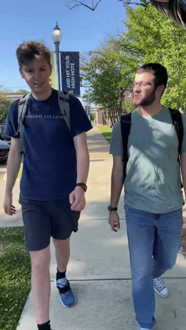 Tree GIF