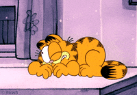 cat orange GIF by Garfield
