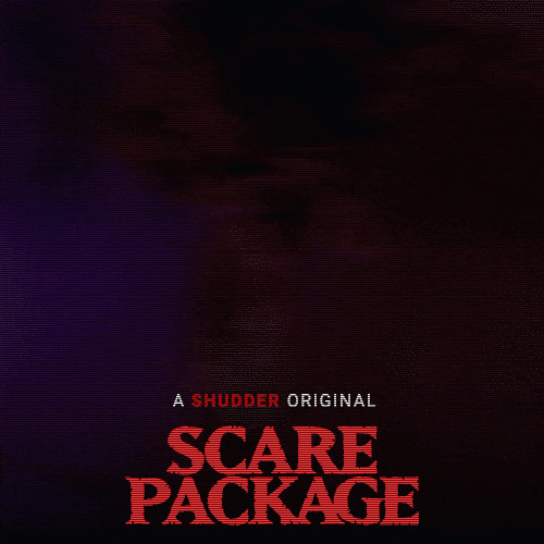 Scared Scary Movie GIF by Shudder