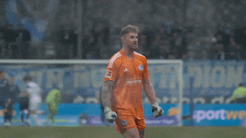 Football Soccer GIF by FC Schalke 04