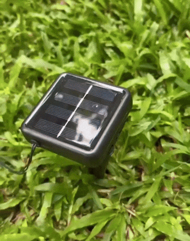 GIPHYGIP1 giphyupload GIF