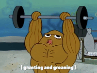 season 1 GIF by SpongeBob SquarePants