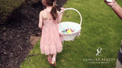 Travel Luxury GIF by Cavalier Resort Virginia Beach