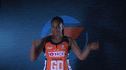 gwsgiants giants netball gwsgiants giantsnetball GIF