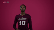 southern illinois mvc GIF by Missouri Valley Conference