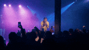 Show Concert GIF by Sam McGrath