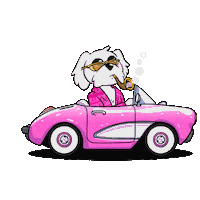 Fun Driving Sticker by BoDoggos