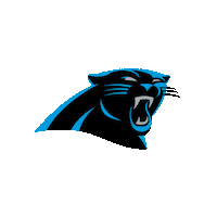 Keep Pounding National Football League Sticker by Carolina Panthers