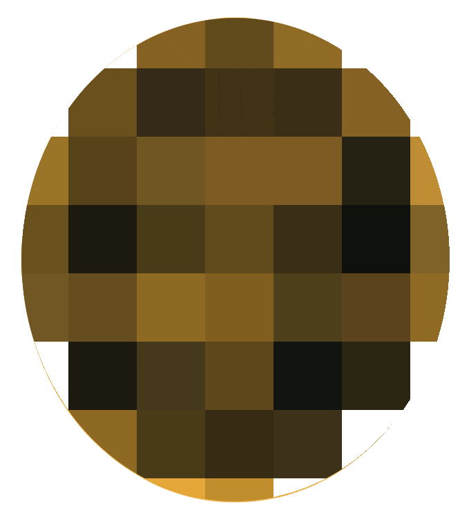 ASV_Hof giphyupload wrestling hof ringen Sticker