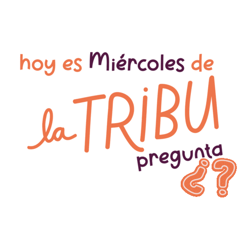 Preguntas Sticker