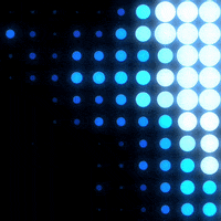 GIF by Shurly
