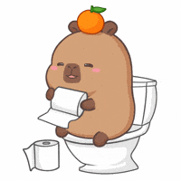 Toilet Paper Fun GIF
