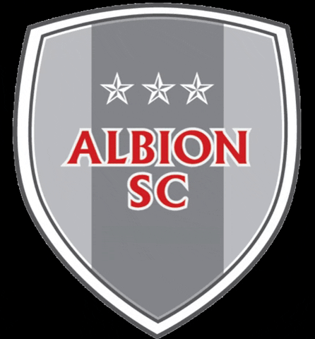 ALBIONSC giphygifmaker soccer albion albionsc GIF