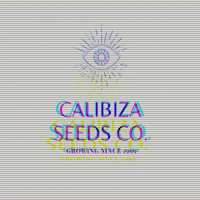 calibizaseeds calibiza calibizaseeds calibizaseedsco GIF