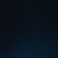 Team Spirit W0Nderful GIF by Team Spirit