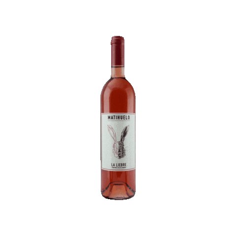 BodegasMatihuelo giphygifmaker Sticker