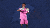 Catch Goalkeeper GIF by Carson-Newman Athletics