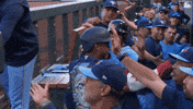 Happy Home Run GIF by Toronto Blue Jays
