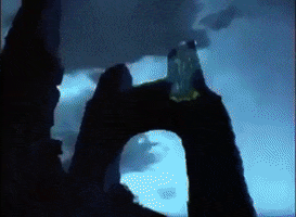 Walt Disney GIF