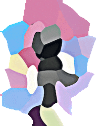 acadelia salapalatului Sticker by Global Records