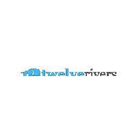 Realestate Austin Sticker by Twelve Rivers Realty
