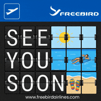 Take Off Swimming GIF by Freebird Airlines