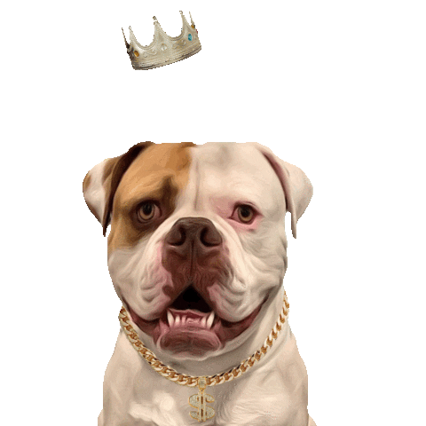 Biggie Smalls Crown Sticker by Pimp Yo Pets