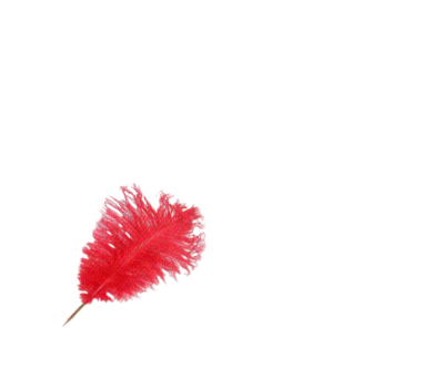 feather STICKER