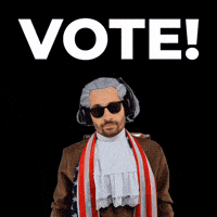 Voting Election Day GIF