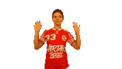 Team Handball Sticker by Fernreisehelden