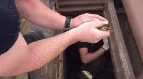 GIF by Mashable