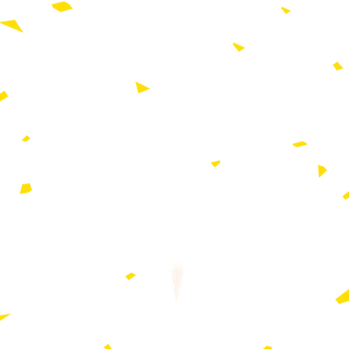 Carnavalswift Sticker by Loja Swift