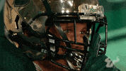 South Florida Go Bulls GIF by USF Athletics