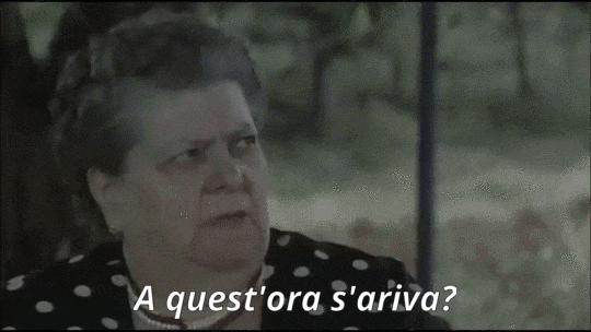 bianco rosso e verdone sora lella GIF