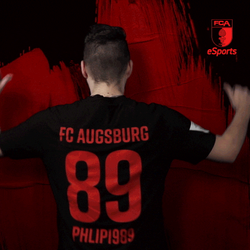 Sport Bundesliga GIF by FC Augsburg 1907