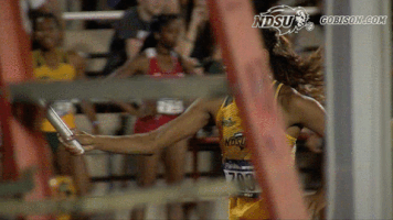 north dakota state bison GIF by NDSU Athletics