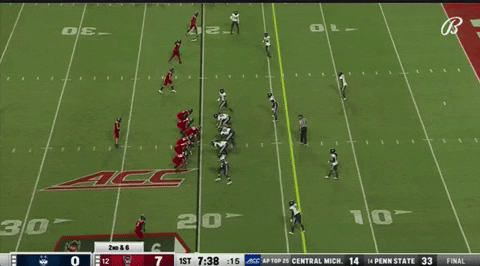 therealessad giphygifgrabber touchdown sumo nc state GIF